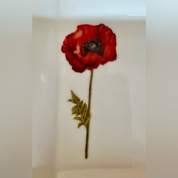 Red Poppy Porcelain 6” plate with spreader - Picture 5 of 7